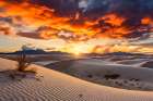 Sandy desert at sunset or sunrise. (AI Generated) Art Print